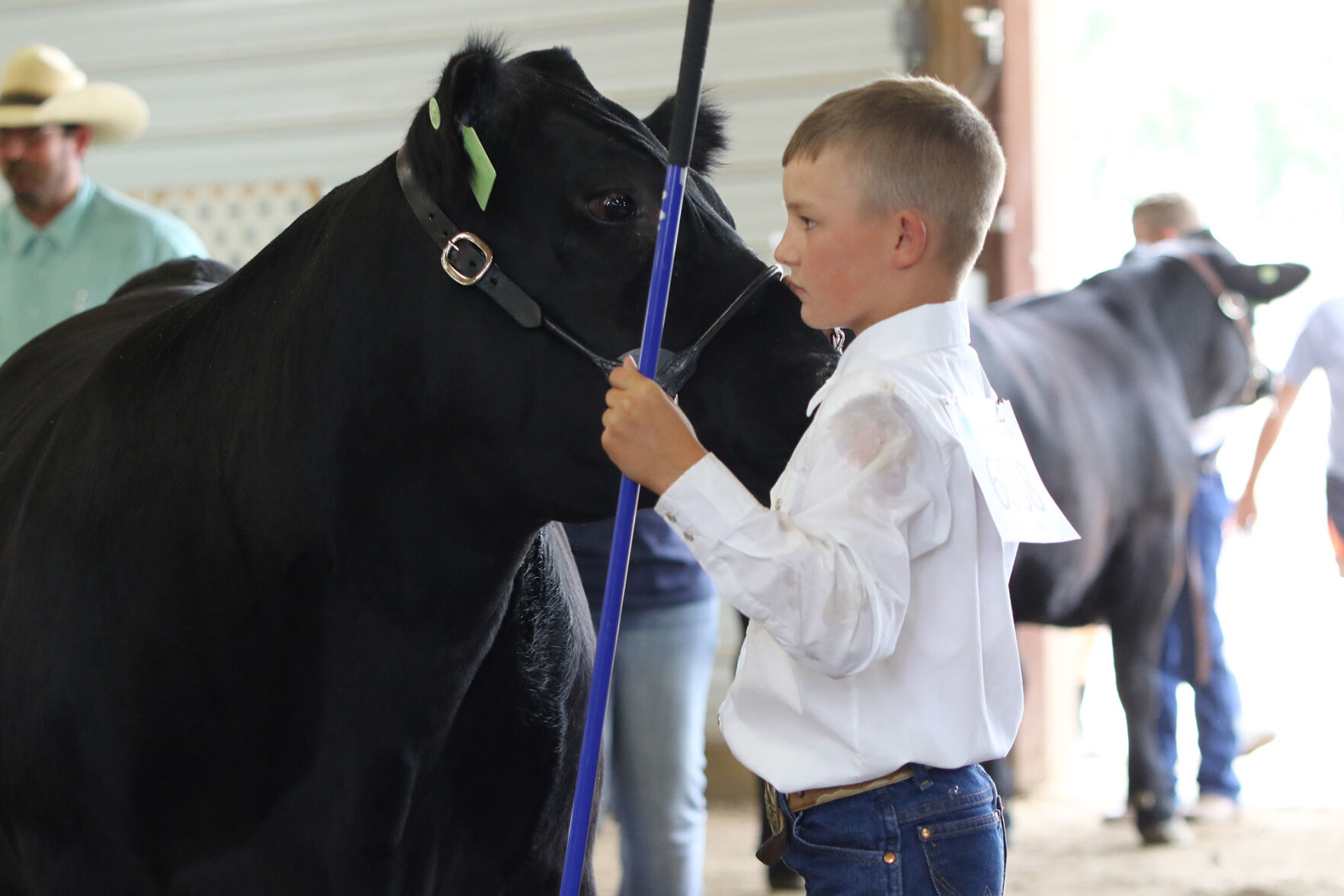 PHOTOS: Market Beef Show 2020